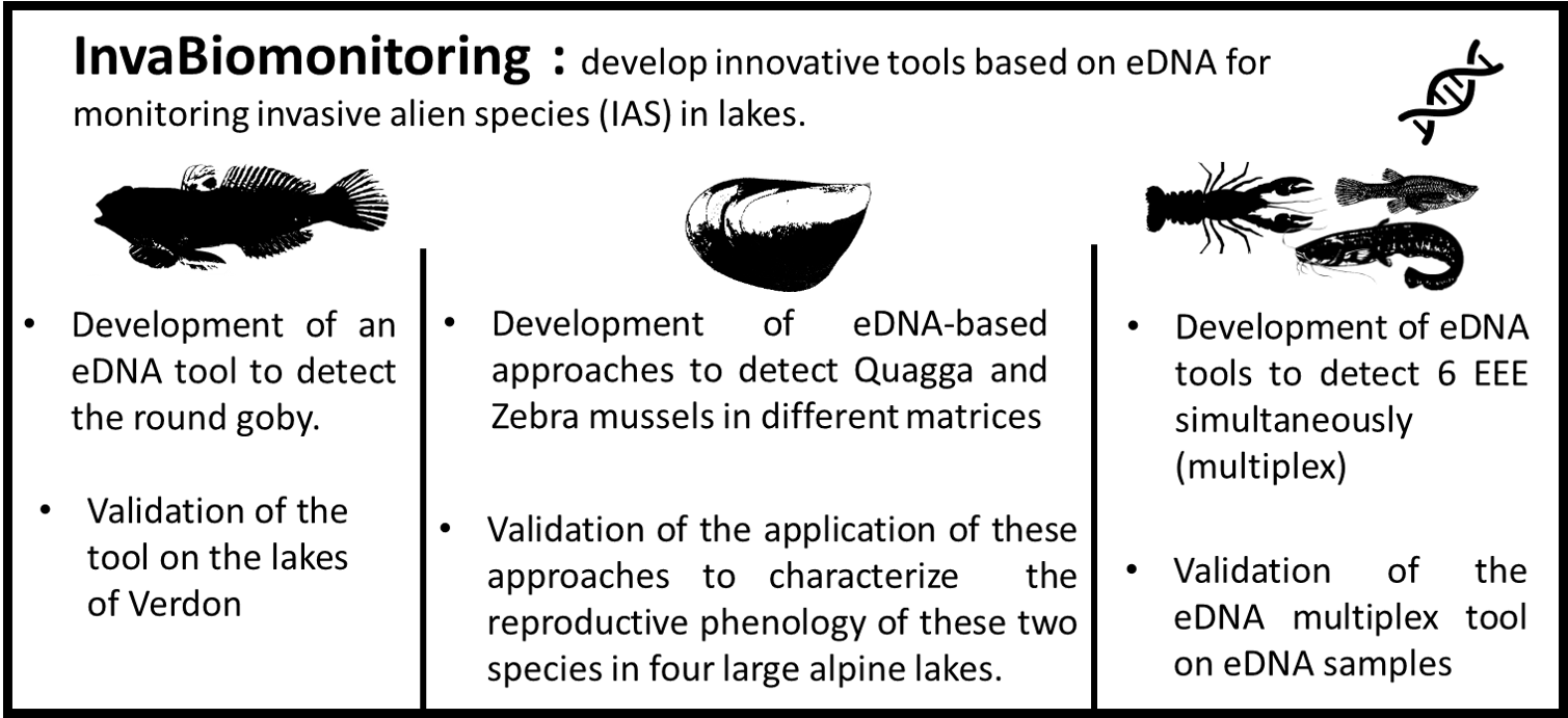 Invabio infographi ag-17_59_37.png